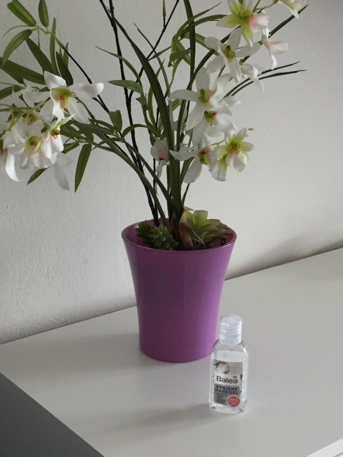 Ferienappartement Grocke Kaprun Zewnętrze zdjęcie